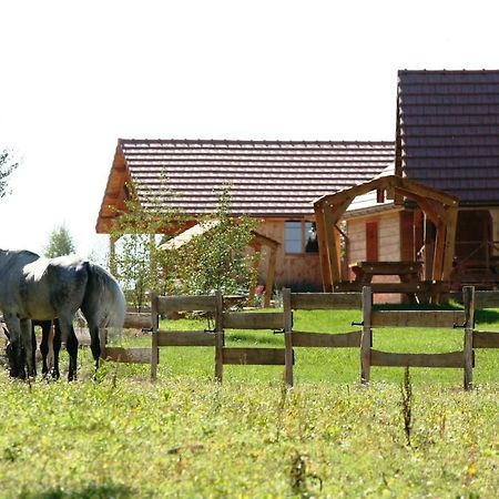Le Hameau Des Grilles Villa Saint-Fargeau  Eksteriør bilde